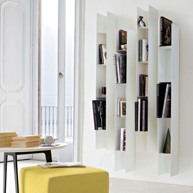 lema koala fumagalli